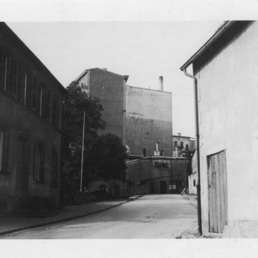 PHOTO-2026-02-17-21-07-08 2