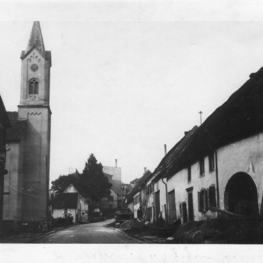 PHOTO-2026-02-17-21-07-08 3