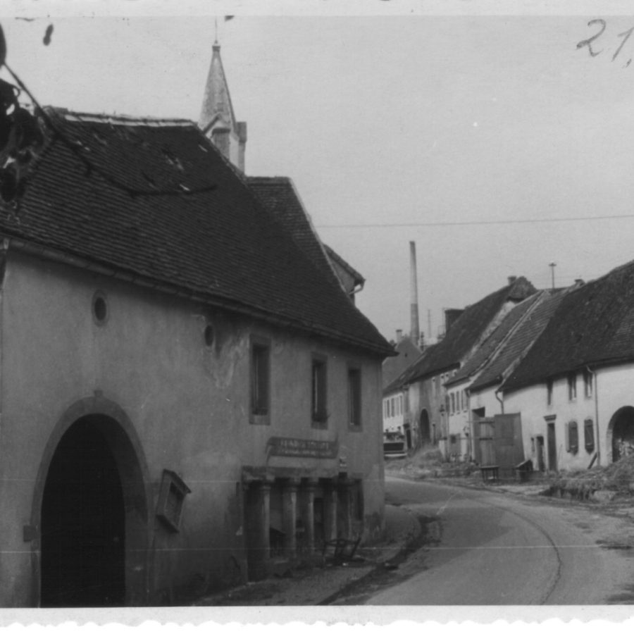 PHOTO-2026-02-17-21-07-08 4